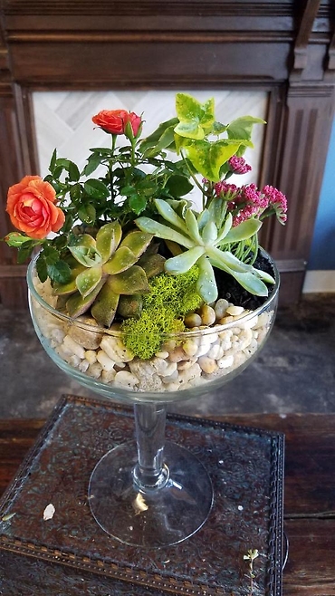 Rose Succulent Cocktail