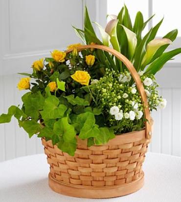 Rose & Calla Basket
