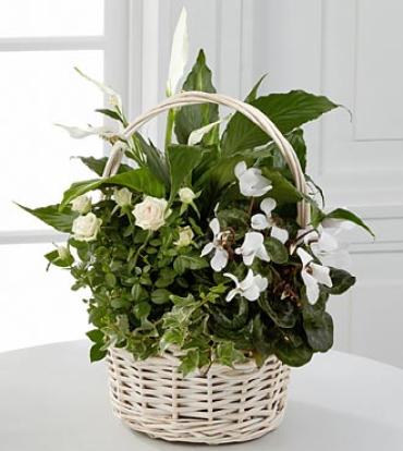White on White Basket