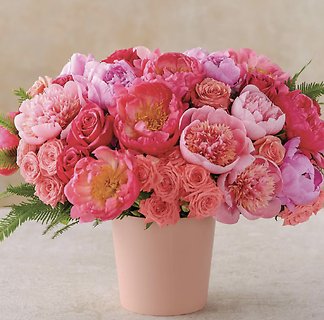 Peony Portrait