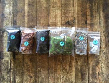 GARDEN Terrarium Kit