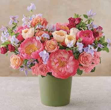 Peony Garden
