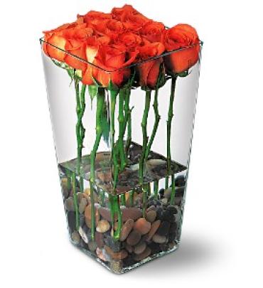 Orange Roses & River Rock