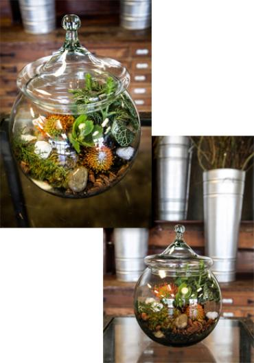 GARDEN Tabletop Terrarium