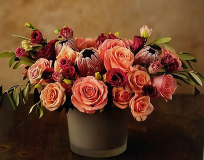 Mimosa Blush
