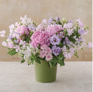 Garden of Peony