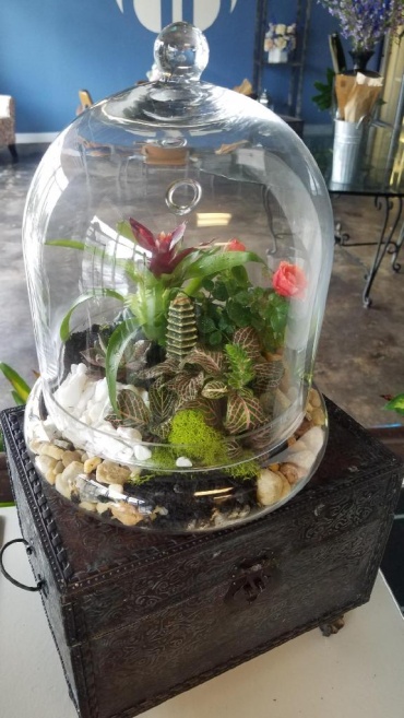 Tropical Zen Terrarium