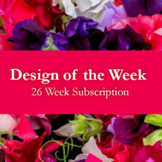 Design of the Week - 26 Week Subscription