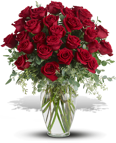 Three Dozen Long Stemmed Red Roses