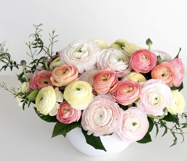 Ranunculus Garden