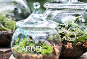 GARDEN Tabletop Terrarium