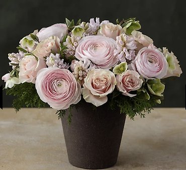Blush Frost