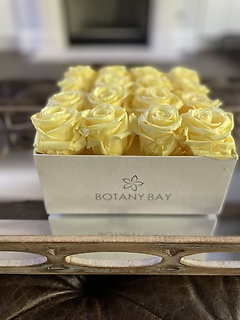 Luxury Square Yellow Sorbet Rose Box