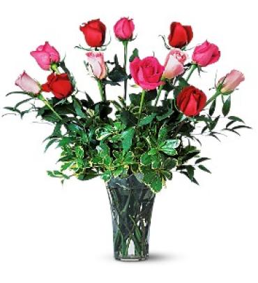 Dozen Multi-Colored Roses