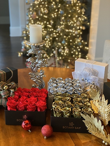 Christmas Rose Box Set