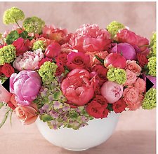 Peony Luxe