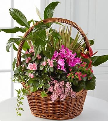 Pink Round Basket